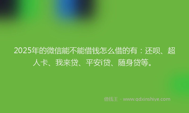 2025年的微信能不能借钱怎么借的有：还呗、超人卡、我来贷、平安i贷、随身贷等。