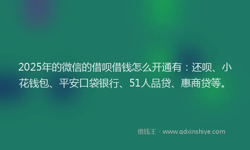 2025年的微信的借呗借钱怎么开通有：还呗、小花钱包、平安口袋银行、51人品贷、惠商贷等。