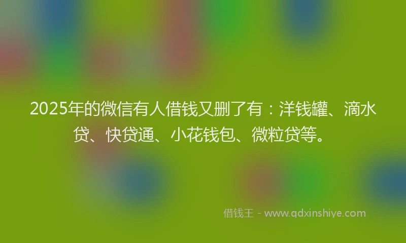 2025年的微信有人借钱又删了有：洋钱罐、滴水贷、快贷通、小花钱包、微粒贷等。