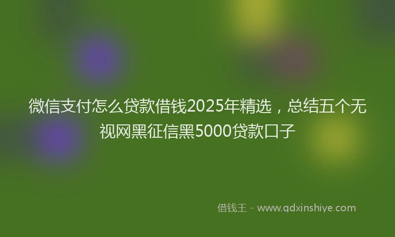 微信支付怎么贷款借钱2025年精选，总结五个无视网黑征信黑5000贷款口子