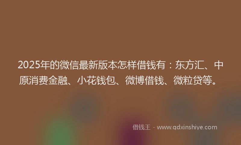 2025年的微信最新版本怎样借钱有：东方汇、中原消费金融、小花钱包、微博借钱、微粒贷等。