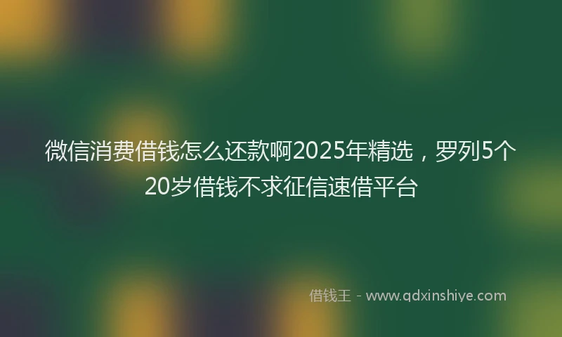 微信消费借钱怎么还款啊2025年精选，罗列5个20岁借钱不求征信速借平台