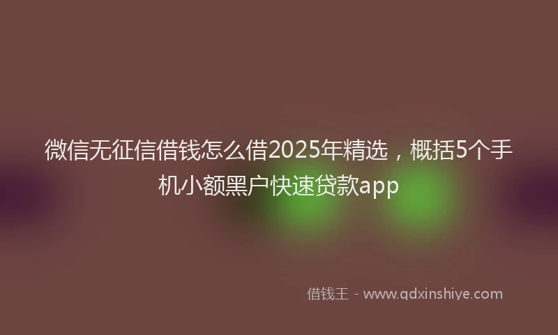 微信无征信借钱怎么借2025年精选，概括5个手机小额黑户快速贷款app