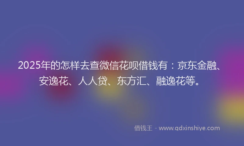 2025年的怎样去查微信花呗借钱有：京东金融、安逸花、人人贷、东方汇、融逸花等。