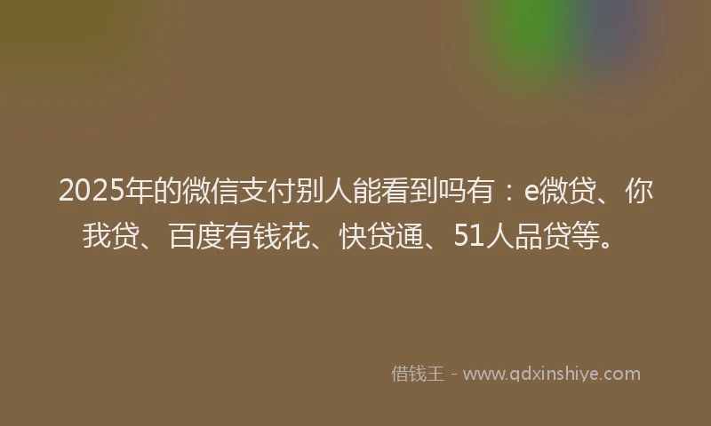 2025年的微信支付别人能看到吗有：e微贷、你我贷、百度有钱花、快贷通、51人品贷等。