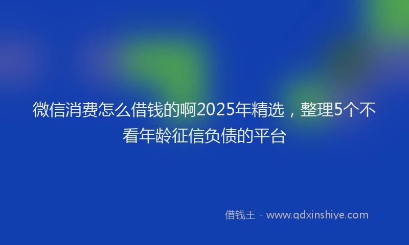 微信消费怎么借钱的啊2025年精选，整理5个不看年龄征信负债的平台