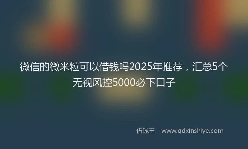 微信的微米粒可以借钱吗2025年推荐，汇总5个无视风控5000必下口子
