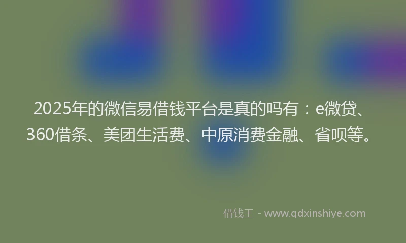 2025年的微信易借钱平台是真的吗有：e微贷、360借条、美团生活费、中原消费金融、省呗等。