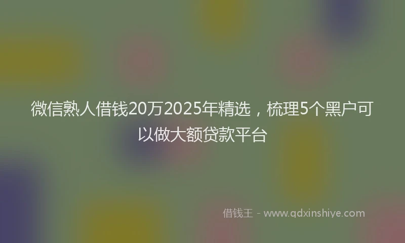 微信熟人借钱20万2025年精选，梳理5个黑户可以做大额贷款平台