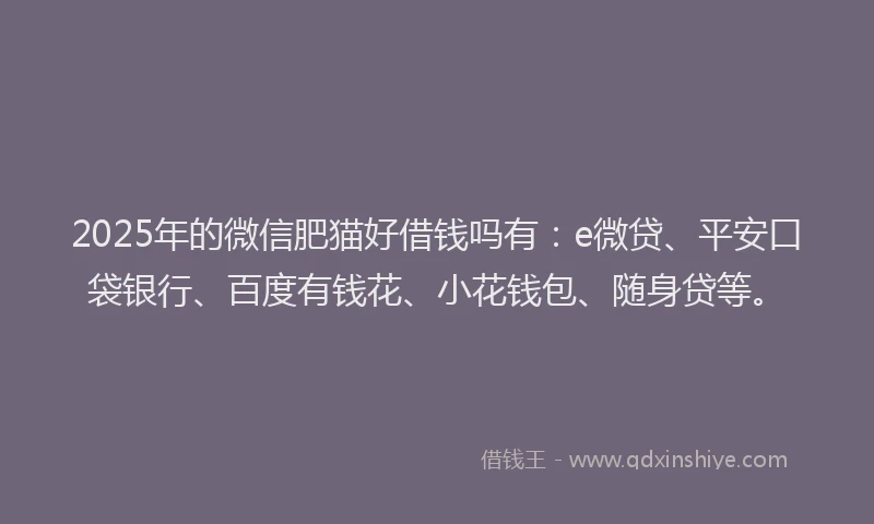 2025年的微信肥猫好借钱吗有：e微贷、平安口袋银行、百度有钱花、小花钱包、随身贷等。