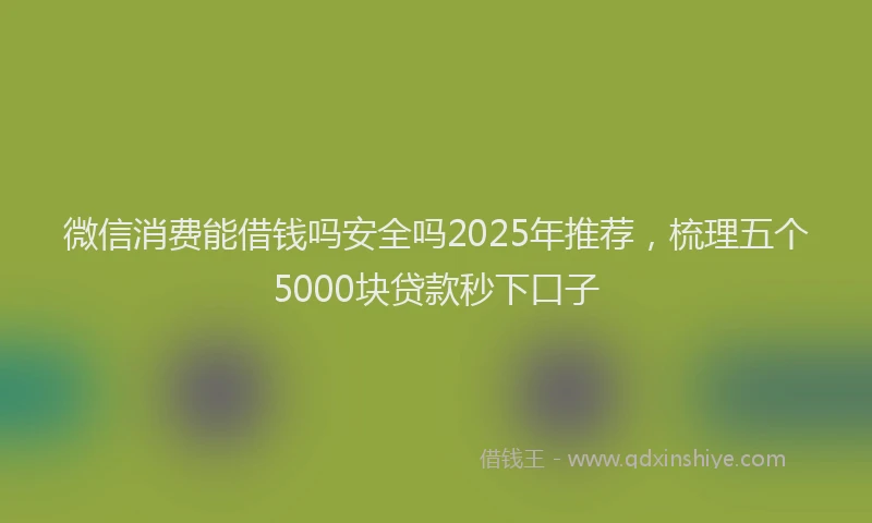 微信消费能借钱吗安全吗2025年推荐，梳理五个5000块贷款秒下口子