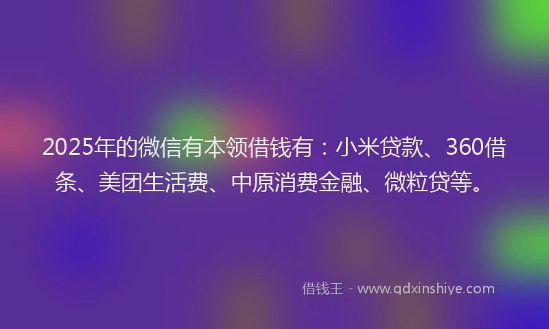 2025年的微信有本领借钱有：小米贷款、360借条、美团生活费、中原消费金融、微粒贷等。