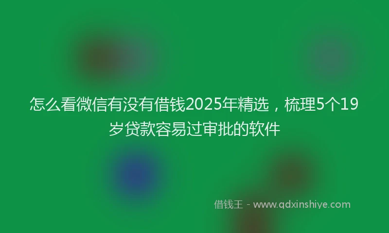 怎么看微信有没有借钱2025年精选，梳理5个19岁贷款容易过审批的软件
