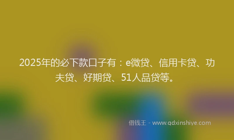2025年的必下款口子有：e微贷、信用卡贷、功夫贷、好期贷、51人品贷等。