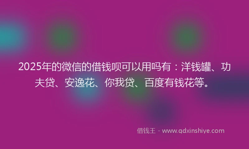 2025年的微信的借钱呗可以用吗有：洋钱罐、功夫贷、安逸花、你我贷、百度有钱花等。