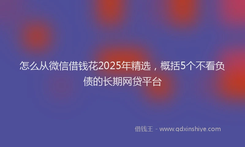 怎么从微信借钱花2025年精选，概括5个不看负债的长期网贷平台