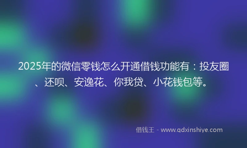 2025年的微信零钱怎么开通借钱功能有：投友圈、还呗、安逸花、你我贷、小花钱包等。