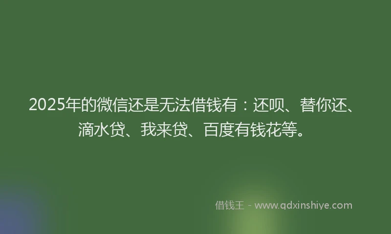 2025年的微信还是无法借钱有：还呗、替你还、滴水贷、我来贷、百度有钱花等。