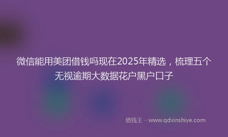 微信能用美团借钱吗现在2025年精选，梳理五个无视逾期大数据花户黑户口子