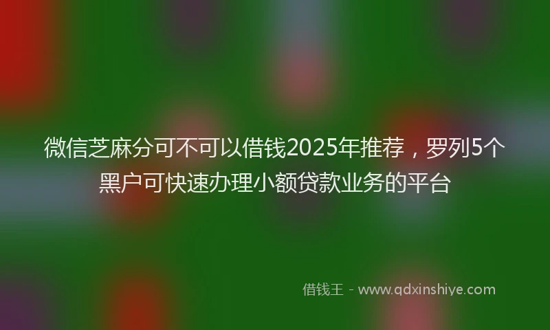 微信芝麻分可不可以借钱2025年推荐，罗列5个黑户可快速办理小额贷款业务的平台