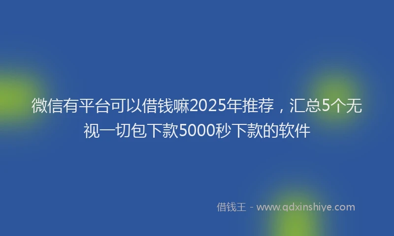 微信有平台可以借钱嘛2025年推荐，汇总5个无视一切包下款5000秒下款的软件