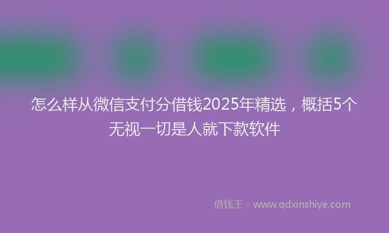 怎么样从微信支付分借钱2025年精选，概括5个无视一切是人就下款软件