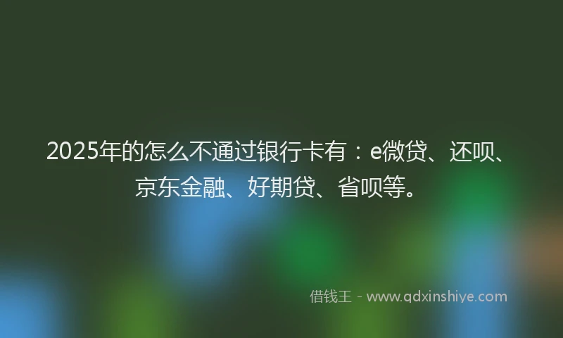 2025年的怎么不通过银行卡有：e微贷、还呗、京东金融、好期贷、省呗等。