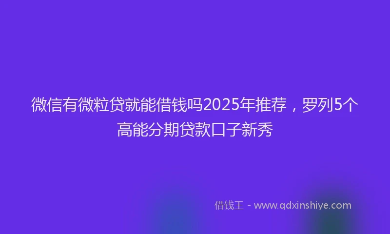 微信有微粒贷就能借钱吗2025年推荐，罗列5个高能分期贷款口子新秀