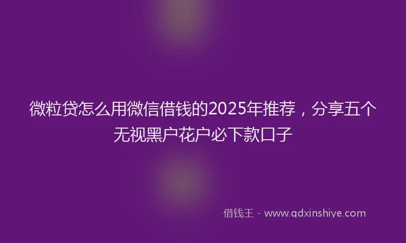微粒贷怎么用微信借钱的2025年推荐，分享五个无视黑户花户必下款口子