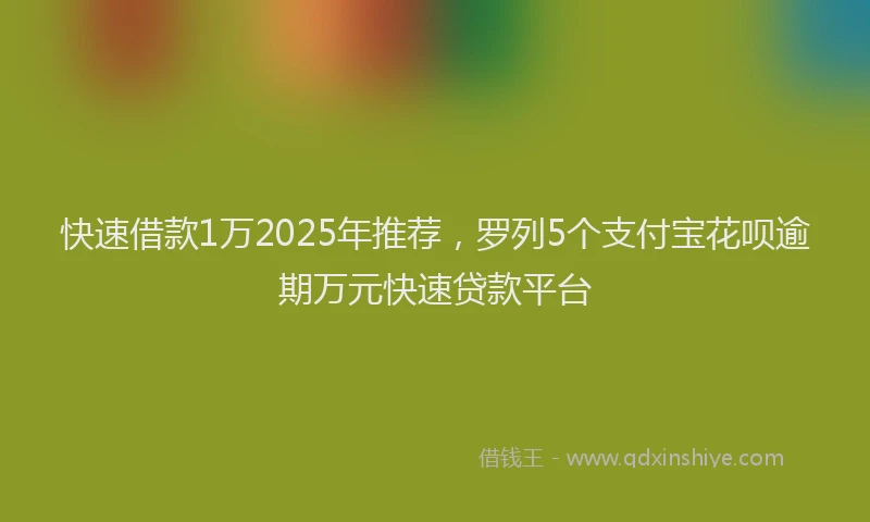 快速借款1万2025年推荐，罗列5个支付宝花呗逾期万元快速贷款平台