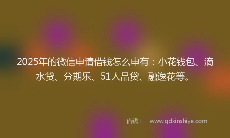 2025年的微信申请借钱怎么申有：小花钱包、滴水贷、分期乐、51人品贷、融逸花等。