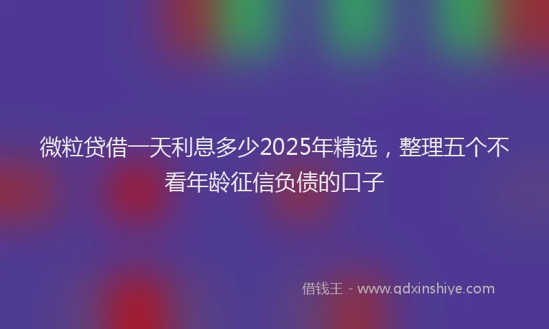 微粒贷借一天利息多少2025年精选，整理五个不看年龄征信负债的口子