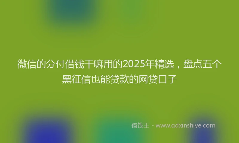 微信的分付借钱干嘛用的2025年精选，盘点五个黑征信也能贷款的网贷口子