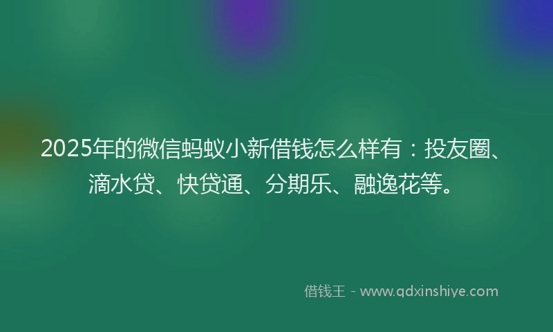 2025年的微信蚂蚁小新借钱怎么样有：投友圈、滴水贷、快贷通、分期乐、融逸花等。
