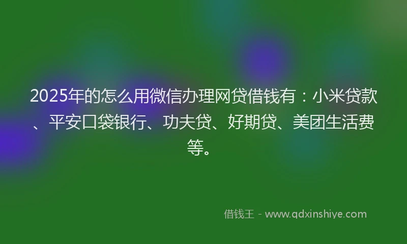 2025年的怎么用微信办理网贷借钱有：小米贷款、平安口袋银行、功夫贷、好期贷、美团生活费等。