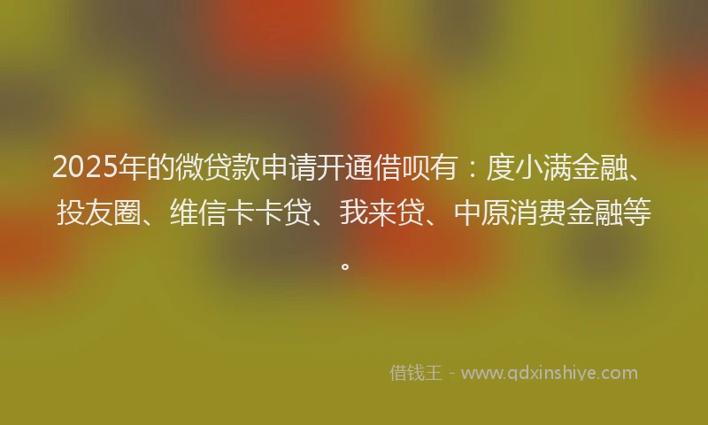 2025年的微贷款申请开通借呗有：度小满金融、投友圈、维信卡卡贷、我来贷、中原消费金融等。