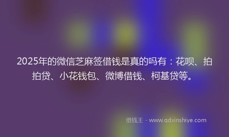 2025年的微信芝麻签借钱是真的吗有：花呗、拍拍贷、小花钱包、微博借钱、柯基贷等。
