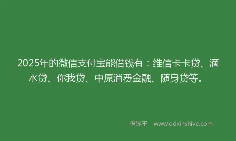 2025年的微信支付宝能借钱有：维信卡卡贷、滴水贷、你我贷、中原消费金融、随身贷等。
