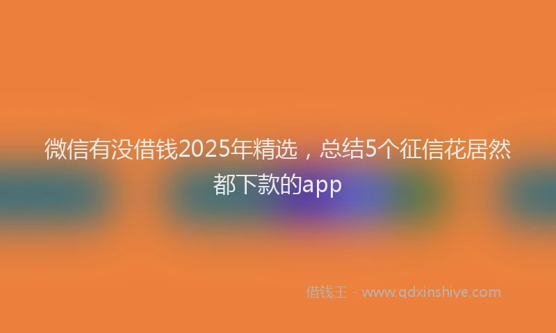 微信有没借钱2025年精选，总结5个征信花居然都下款的app