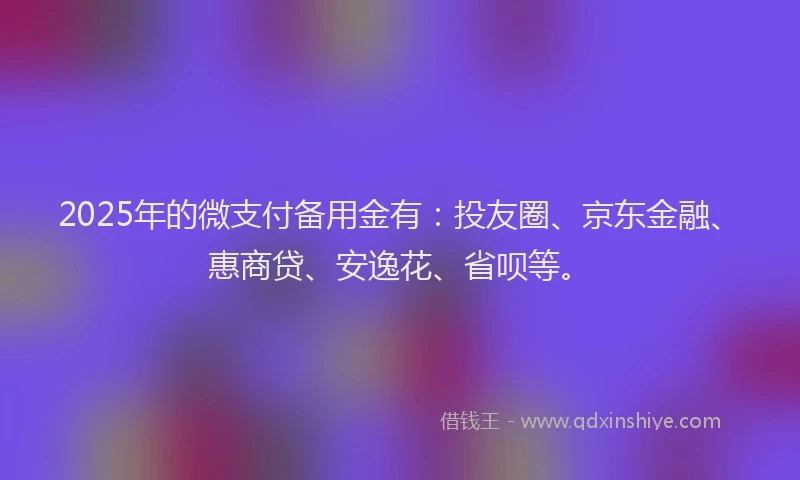 2025年的微支付备用金有：投友圈、京东金融、惠商贷、安逸花、省呗等。