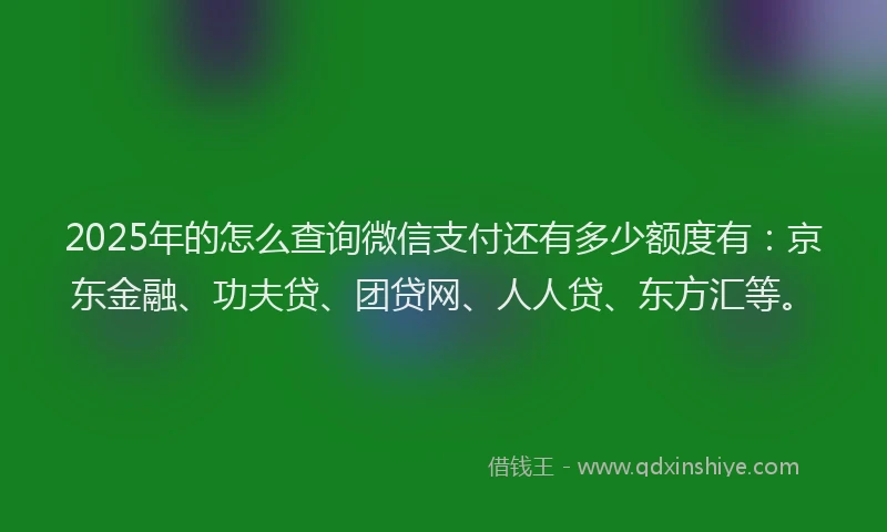 2025年的怎么查询微信支付还有多少额度有：京东金融、功夫贷、团贷网、人人贷、东方汇等。