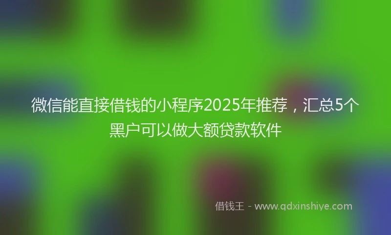 微信能直接借钱的小程序2025年推荐，汇总5个黑户可以做大额贷款软件