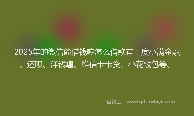 2025年的微信能借钱嘛怎么借款有：度小满金融、还呗、洋钱罐、维信卡卡贷、小花钱包等。