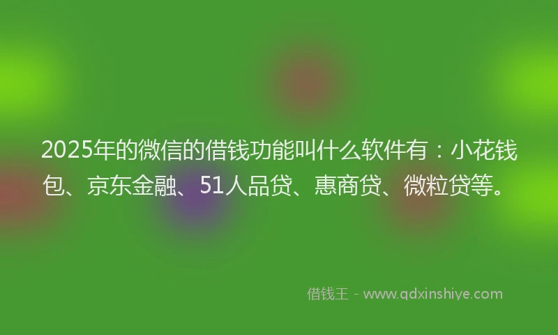 2025年的微信的借钱功能叫什么软件有：小花钱包、京东金融、51人品贷、惠商贷、微粒贷等。