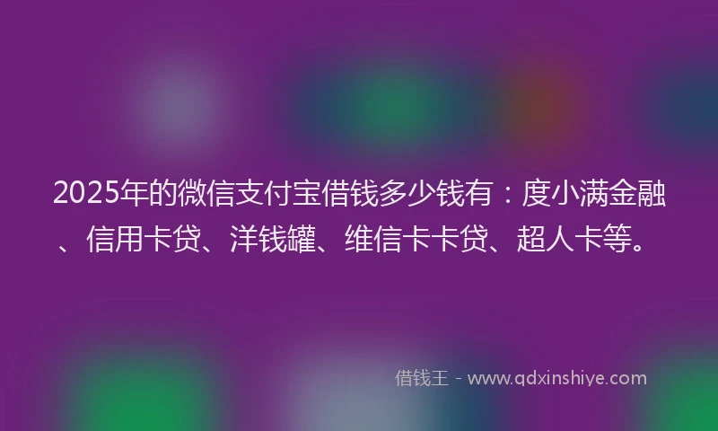 2025年的微信支付宝借钱多少钱有：度小满金融、信用卡贷、洋钱罐、维信卡卡贷、超人卡等。