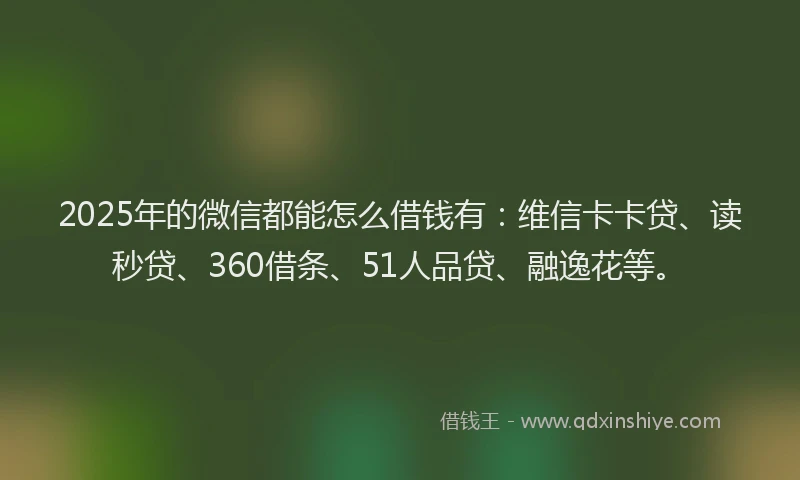 2025年的微信都能怎么借钱有：维信卡卡贷、读秒贷、360借条、51人品贷、融逸花等。