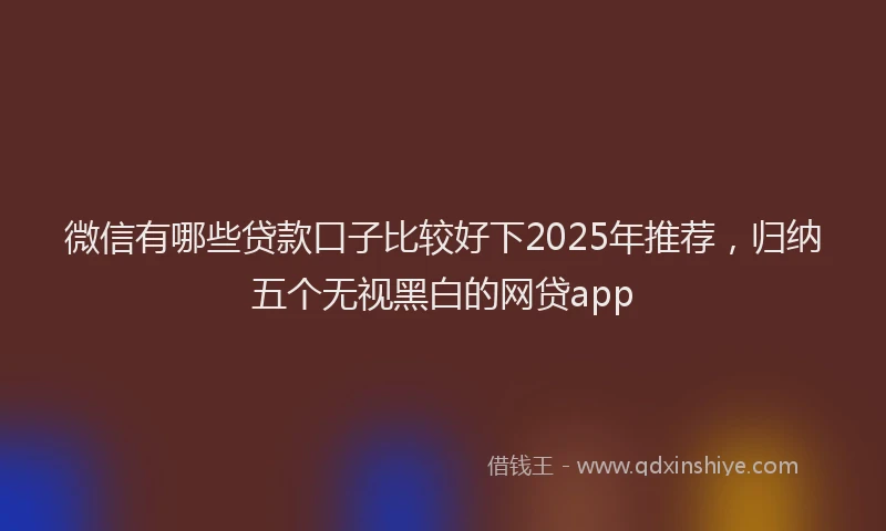 微信有哪些贷款口子比较好下2025年推荐，归纳五个无视黑白的网贷app