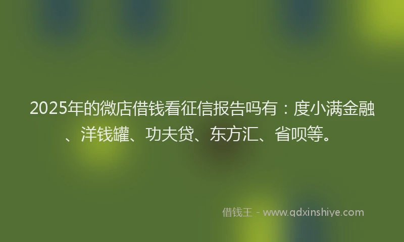 2025年的微店借钱看征信报告吗有：度小满金融、洋钱罐、功夫贷、东方汇、省呗等。
