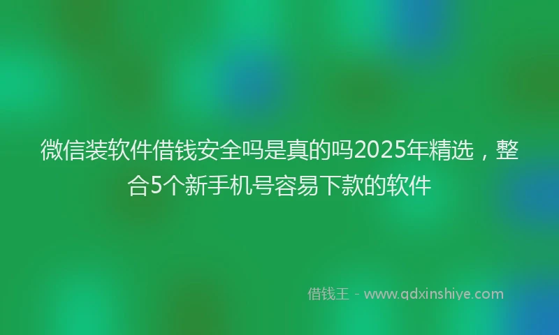 微信装软件借钱安全吗是真的吗2025年精选，整合5个新手机号容易下款的软件