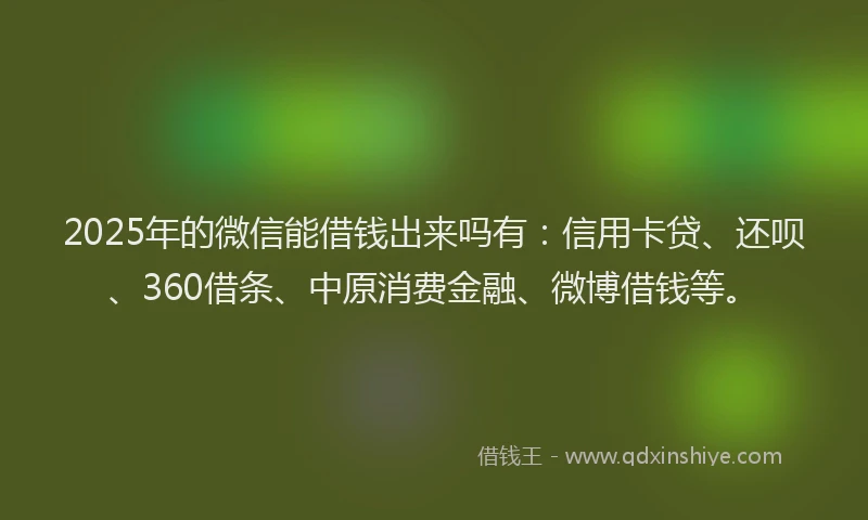 2025年的微信能借钱出来吗有：信用卡贷、还呗、360借条、中原消费金融、微博借钱等。